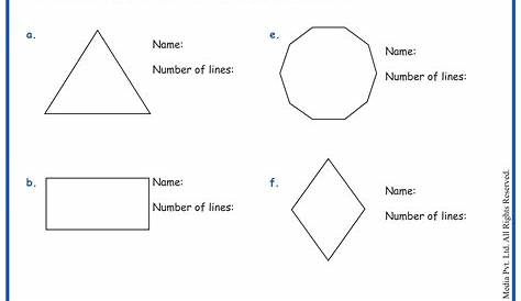 11 Best Images of Polygon Shapes Worksheets / worksheeto.com