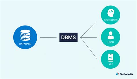 name any two data types supported by dbms