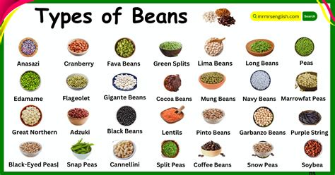 Name For Beans