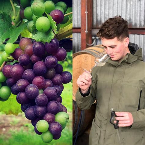 Name For Head Wine Maker