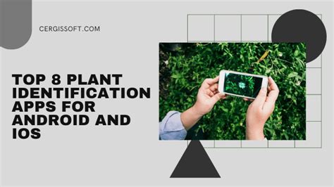 name of The Best Apps For Plant Identification on Android and iOS
