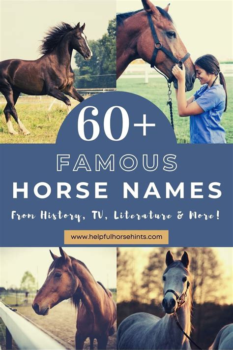 name of famous horses
