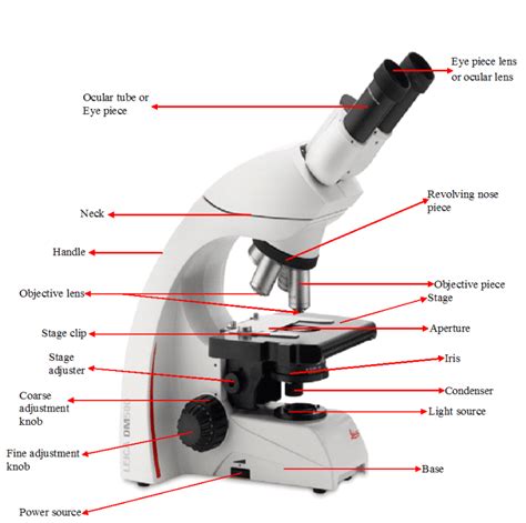 Names And Functions Of A Microscope