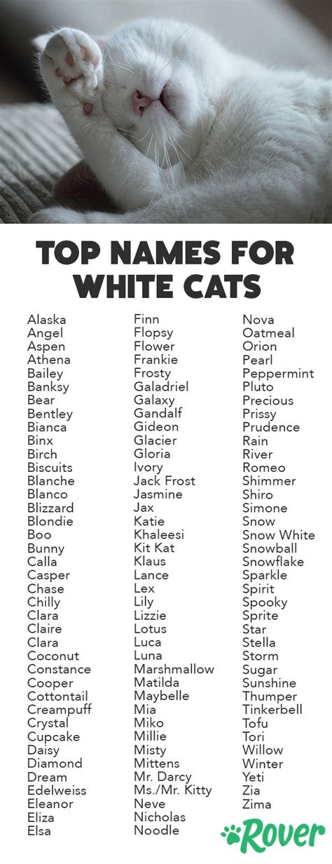 Names for a Male White Cat