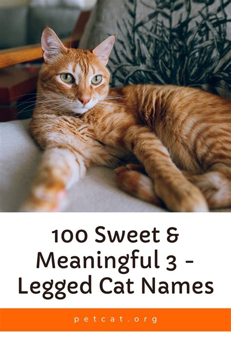 Names for a Three Legged Cat