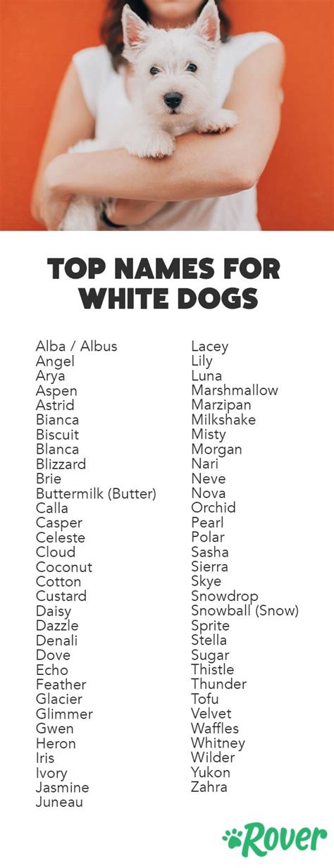 names for an all white dog