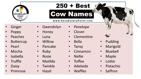 Names For Cows Starting With C