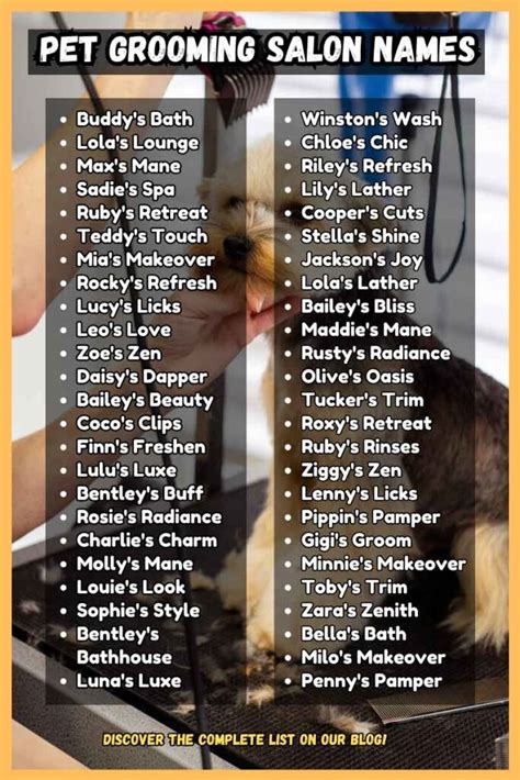 Names For Dog Salons