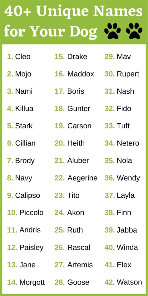 Names For Dogs Unique