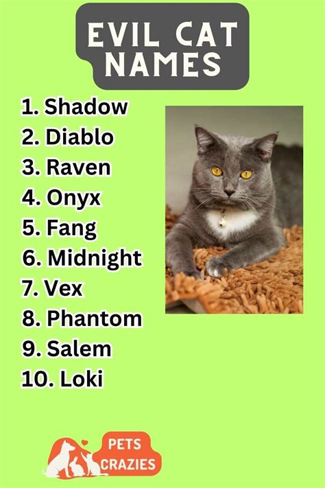 Names For Evil Pets