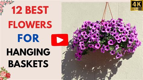 Names For Hanging Baskets