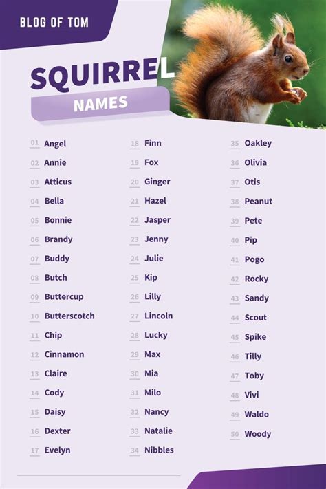 Names For Pet Squirrels