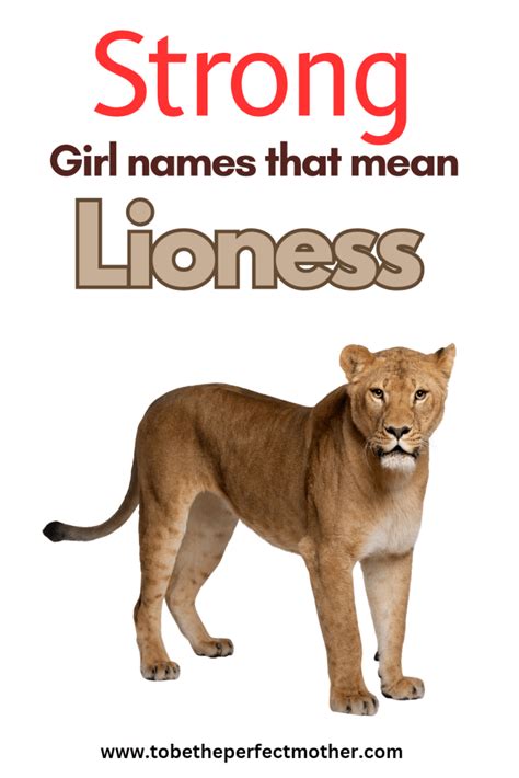names meaning lioness