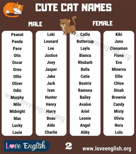 Names Of Cat Pet