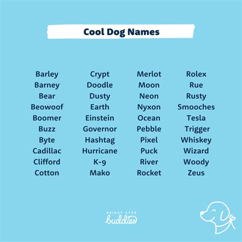Names to Name Your Dog