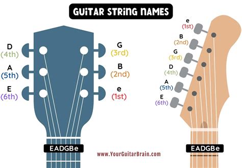Types Of Acoustic Guitars (An Illustrated Guide & Breakdown)