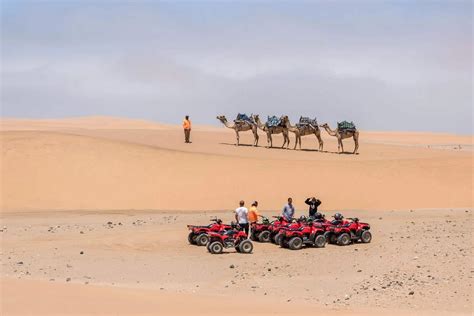 namibia desert explorers