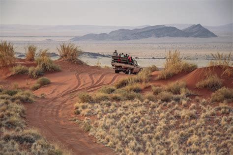 namibia desert safari