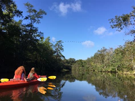 Nanticoke River Kayaking