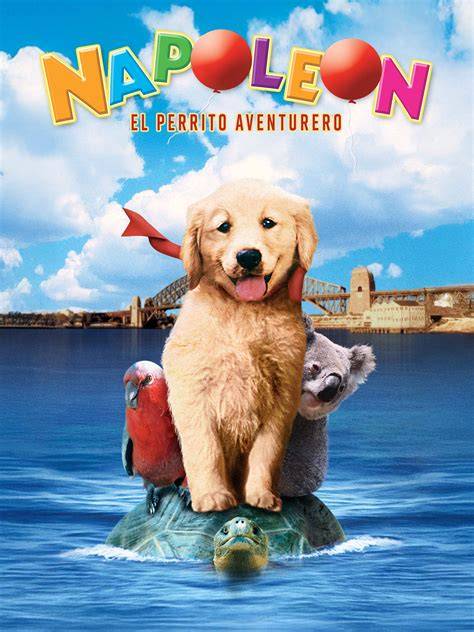 Perrito Napoleón. Películas completas en español YouTube