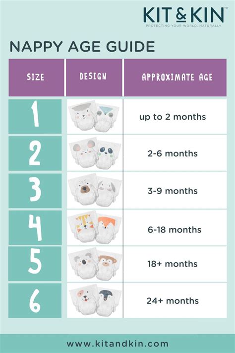 Nappy Guide For Newborn