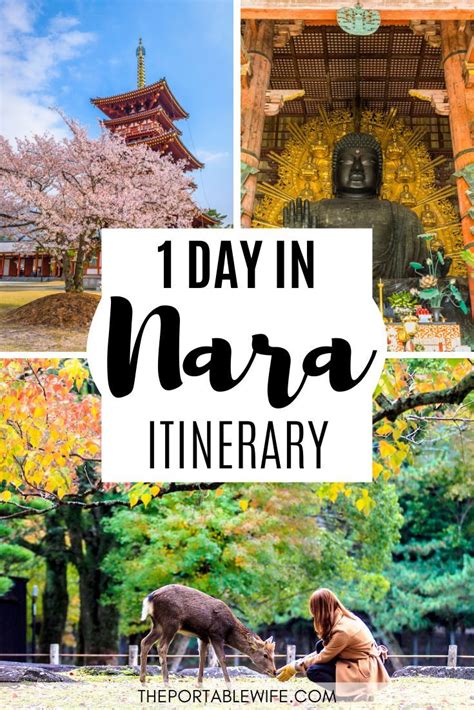 nara day trip
