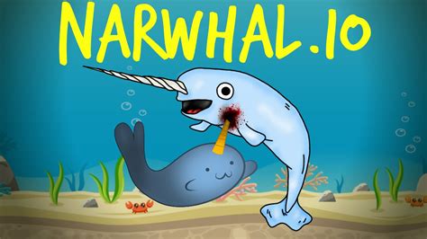 narwhal.io
