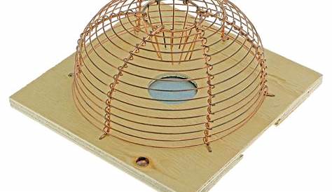 Nasse A Souris Ronde Rats 1 2 Galvanisee 40x23x18 Cm Masy Home