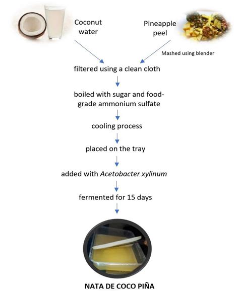 nata de coco fermentation process