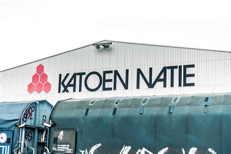 Unlock the Secrets of Natie: Discover Its Hidden Power