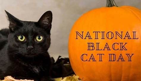 National Black Cat Day | Nancy Roe, Author; The Nancy Way
