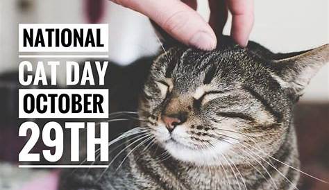 International Cat Day in 2020 | International cat day, Cat day, Cats
