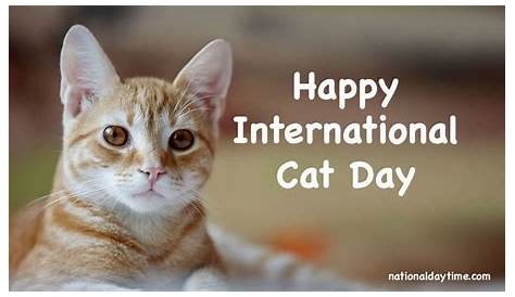 International Cat Day 2023 - Thursday, August 8 - Nationaldaytime.com