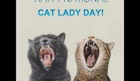 National Cat Lady Day 2023: Date, History, Facts, Activities - Eduvast.com