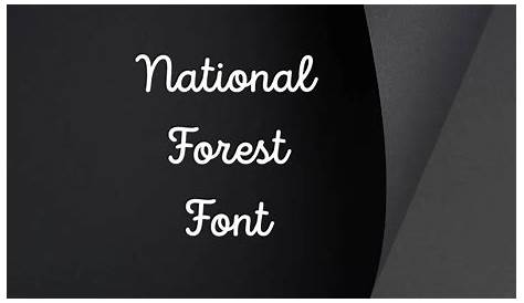 National Forest Font Duo | Etsy