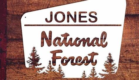 National Forest Sign Vertical Forest Sign Custom Nat'l - Etsy