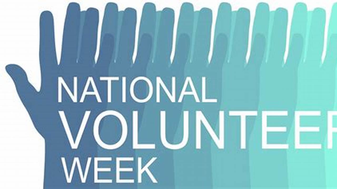 Celebrating the Power of Volunteers: Recognizing Their Contributions During National Volunteers Week