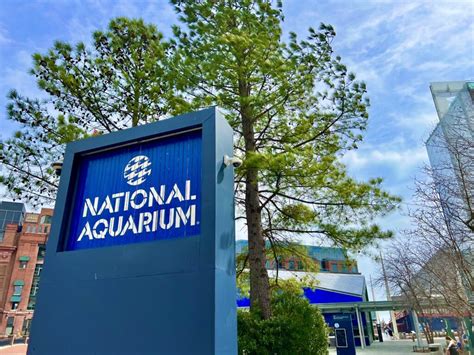 national aquarium baltimore admission