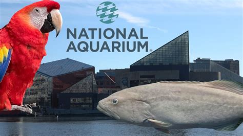 national aquarium baltimore events
