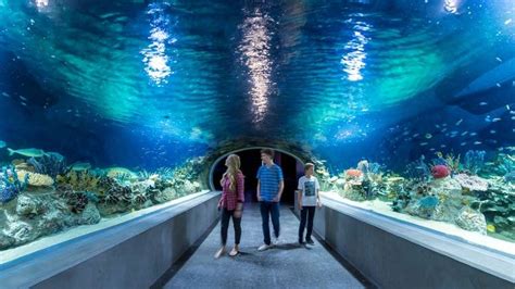 national aquarium baltimore parking