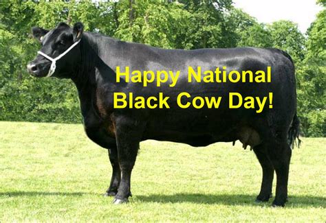 national black cow day