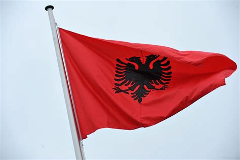 national flag of albania