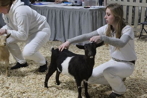 national goat show 2023