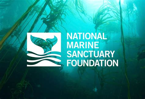 national marine sanctuary foundation