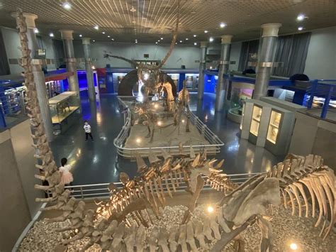national museum of natural history in beijing