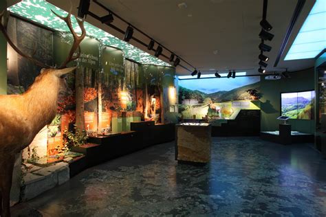 national museum of natural history luxembourg