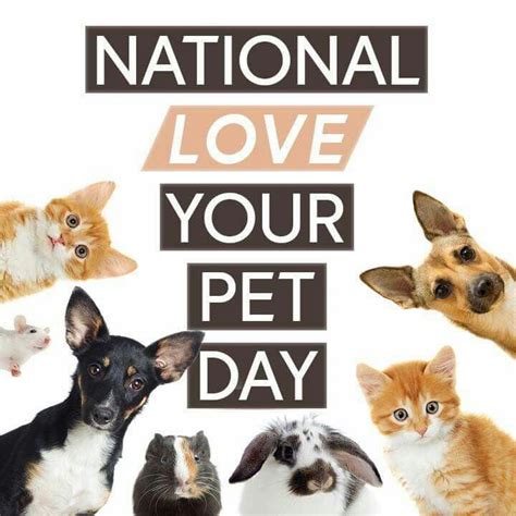 Pin by 123Greetings Ecards on National Pet Day in 2020 Pet day