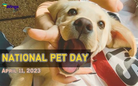 National Pet Day — Vital Pet Life