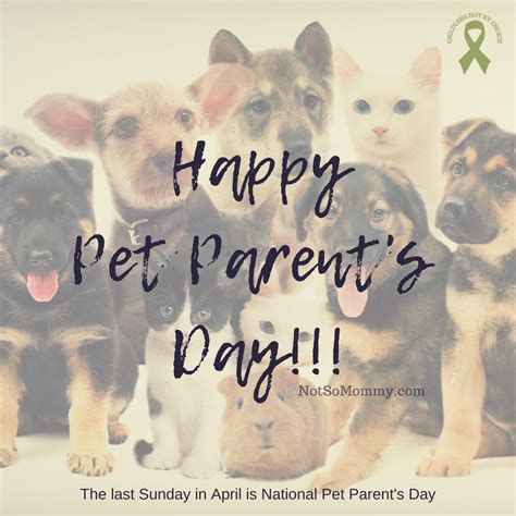 National Pet Parents Day 2023