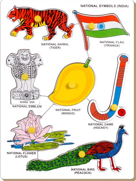 national symbols of india printable